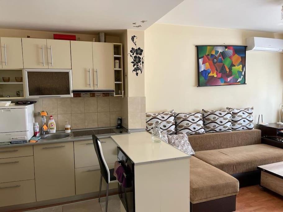 Apartament Cu Un Dormitor / One Bedroom Apartment Satu Mare Exterior photo